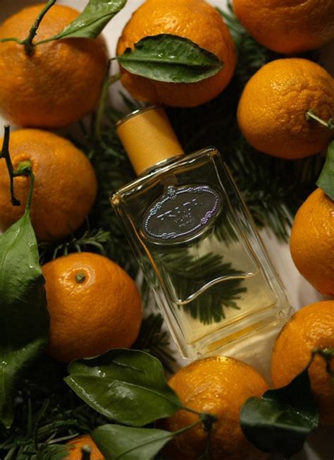 Infusion Mandarine Prada для мужчин и женщин 